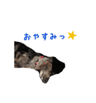 ちむちむちゃん（個別スタンプ：4）