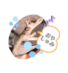 レアルありがとバージョン（個別スタンプ：5）