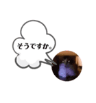 レアルありがとバージョン（個別スタンプ：6）