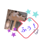 レアルありがとバージョン（個別スタンプ：7）