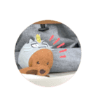 テディ吉（個別スタンプ：3）