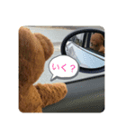 テディ吉（個別スタンプ：5）