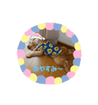 インギー姉妹 Hanna.Kanna（個別スタンプ：6）