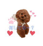 わんちゃんズ❤️3（個別スタンプ：1）