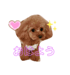 わんちゃんズ❤️3（個別スタンプ：2）