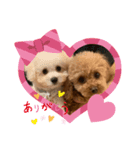 わんちゃんズ❤️3（個別スタンプ：3）