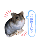 ぐらたんのスタンプ（個別スタンプ：3）