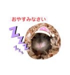 ぐらたんのスタンプ（個別スタンプ：5）