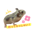 ぐらたんのスタンプ（個別スタンプ：6）