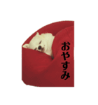 ふうさんのスタ（個別スタンプ：1）