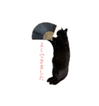 黒猫 ジジちゃん（個別スタンプ：1）