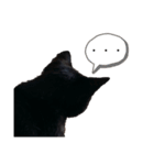 黒猫 ジジちゃん（個別スタンプ：2）