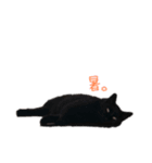 黒猫 ジジちゃん（個別スタンプ：8）