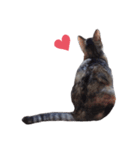 ただ猫を送りたいだけのスタンプ～みみ～（個別スタンプ：2）