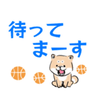 忠犬シバスケ2 -デカ文字-（個別スタンプ：12）