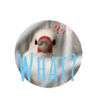 ゆる〜ゆる〜（個別スタンプ：7）