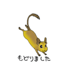 デグランド（個別スタンプ：12）