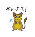 デグランド（個別スタンプ：14）