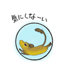 デグランド（個別スタンプ：16）