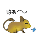 デグランド（個別スタンプ：21）