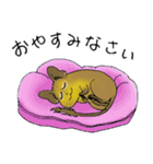 デグランド（個別スタンプ：39）
