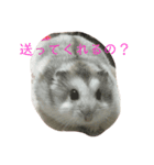 ぽんとゴン（個別スタンプ：6）