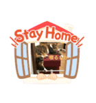 白猫と茶猫の生活（個別スタンプ：1）