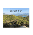 白猫と茶猫の生活（個別スタンプ：7）