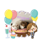 白猫と茶猫の生活（個別スタンプ：14）