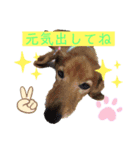 Dont worry Be happy............（個別スタンプ：8）