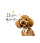 ★☆BUZZ 日常会話スタンプ☆★（個別スタンプ：10）