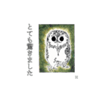 絵スタンプ敬語とか編（個別スタンプ：13）