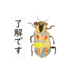 Sora Arts 4（個別スタンプ：3）