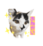 sora♡part1（個別スタンプ：9）