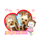 ヨーキーまみれスタンプ②（個別スタンプ：1）