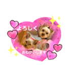ヨーキーまみれスタンプ②（個別スタンプ：8）