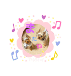 ヨーキーまみれスタンプ②（個別スタンプ：10）