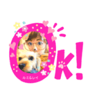 ヨーキーまみれスタンプ②（個別スタンプ：13）