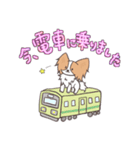 パピヨンの連絡スタンプ（個別スタンプ：4）