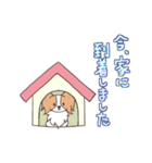 パピヨンの連絡スタンプ（個別スタンプ：7）