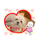 マルプーのモコたん（個別スタンプ：2）