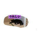 猫猫 スタンプ（個別スタンプ：4）