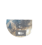 猫猫 スタンプ（個別スタンプ：8）