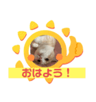 猫のゆきちゃん108（個別スタンプ：9）