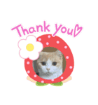 猫のゆきちゃん108（個別スタンプ：14）