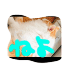 ユニ チャモ大作戦（個別スタンプ：18）