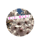景色とときどき食べ物スタンプ（個別スタンプ：2）