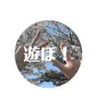 景色とときどき食べ物スタンプ（個別スタンプ：5）