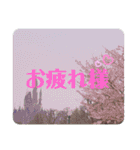 景色とときどき食べ物スタンプ（個別スタンプ：6）