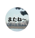 景色とときどき食べ物スタンプ（個別スタンプ：7）